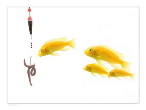 方案核心概念详解